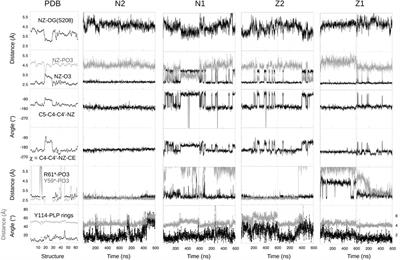 A Computational Model for the PLP-Dependent Enzyme Methionine γ-Lyase